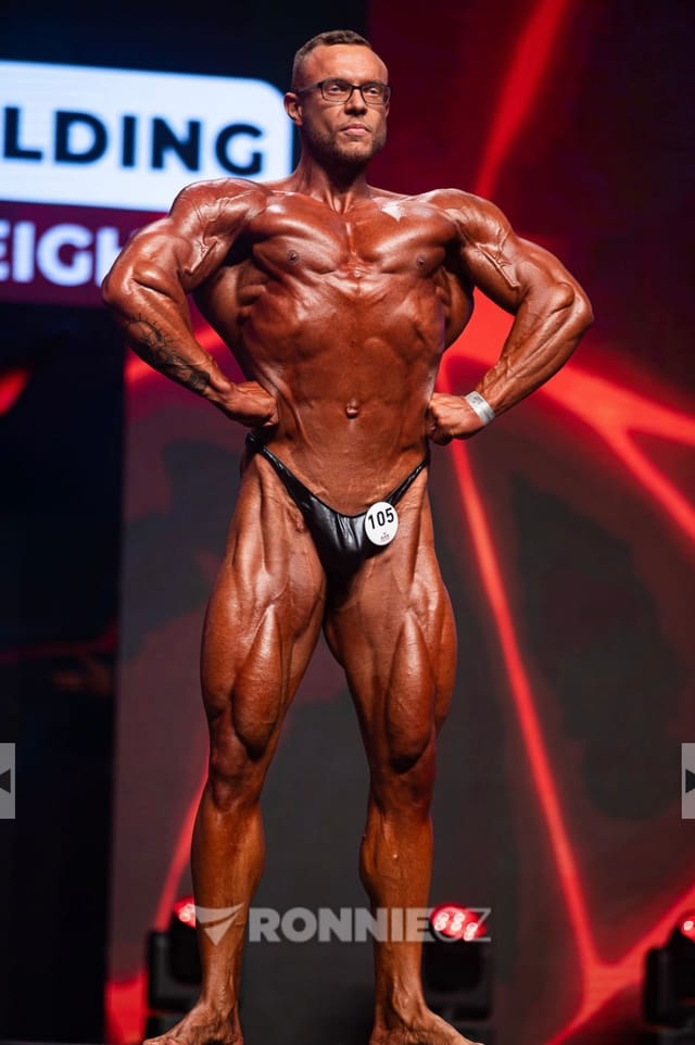 Ladislav Holeš